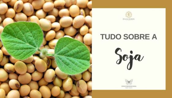 2020 - youtube capas_soja