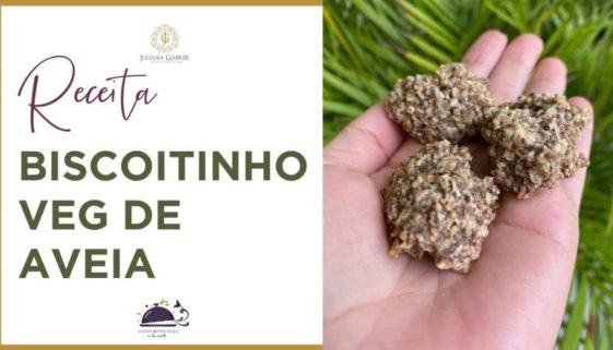 2021 - Receitas blog - biscoitinho aveia